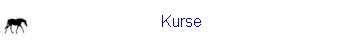 Kurse